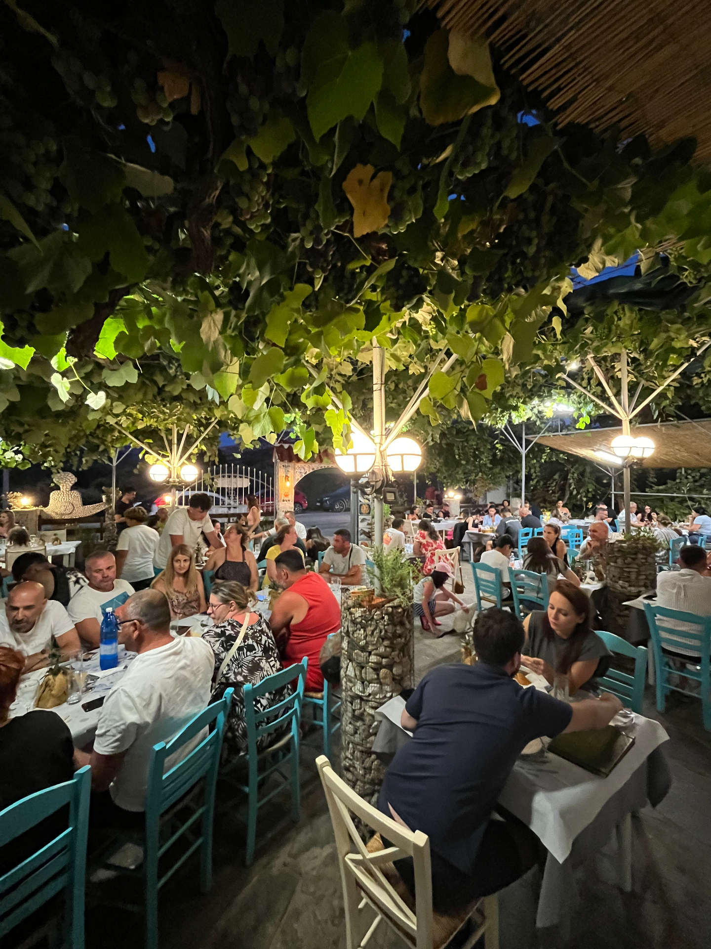 Guests dining in the garden