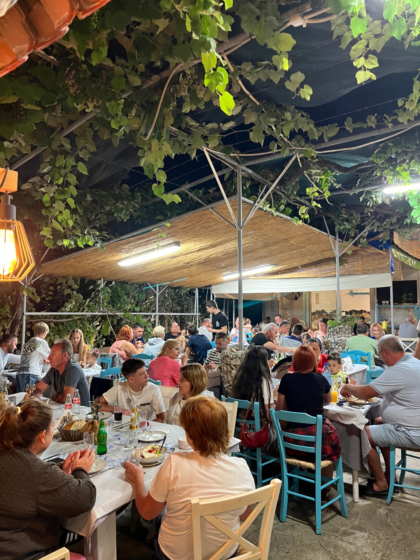 Outdoor tables under grapevines